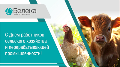 Поздравление с Днем работников сельского хозяйства и перерабатывающей промышленности
