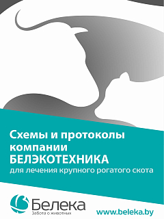 Белека. Схемы и протоколы лечения КРС