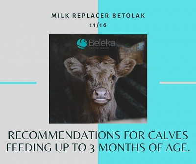 Milk replacer Betolak feeding recommendations