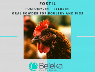 Forstil (Fosfomycin + Tylosin tartrate) Oral powder