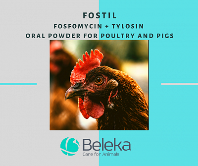 Forstil (Fosfomycin + Tylosin tartrate) Oral powder