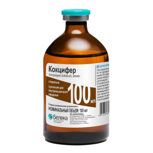 Кокцифер